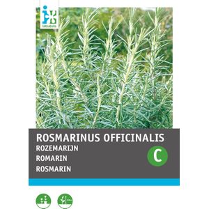 Intratuin kruidenzaad Rozemarijn (Rosmarinus officinalis)