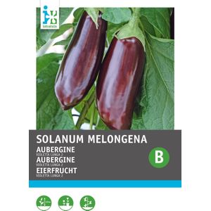 Intratuin groentezaad Aubergine (Solanum melongena 'Violetta Lunga 2')