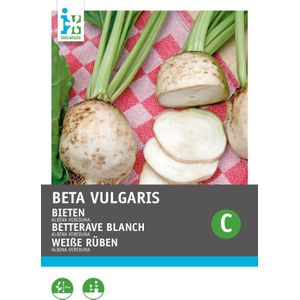 Intratuin groentezaad Bieten wit (Beta vulgaris 'Albina Vereduna')