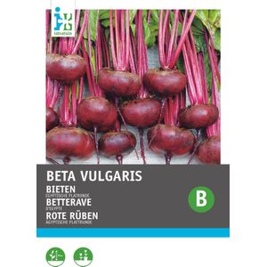 Intratuin groentezaad Bieten (Beta vulgaris 'Egyptische platronde')