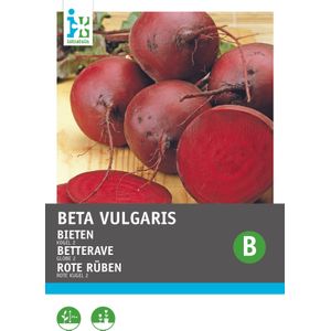 Intratuin groentezaad Bieten (Beta vulgaris 'Vuurrode Kogel 2')