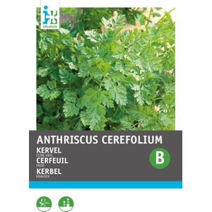 Intratuin kruidenzaad Kervel fijn gekruld (Anthriscus cerfolium)
