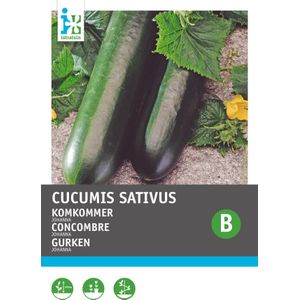 Intratuin groentezaad Komkommer (Cucumis sativus 'Giganta')