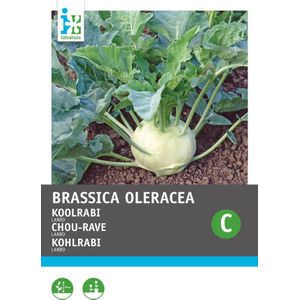 Intratuin groentezaad Koolrabi (Brassica oleracea 'Lanro')