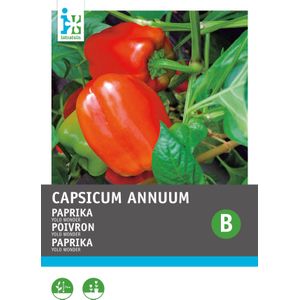 Intratuin groentezaad Paprika (Capsicum annuum 'Yolo Wonder')