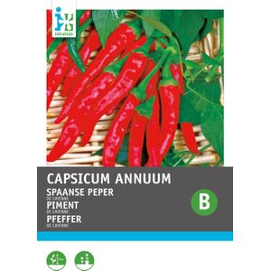 Intratuin groentezaad Peper Cayenne rood (Capsicum Annuum 'Spaanse Lange Rode')