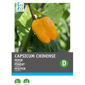 Intratuin groentezaad Peper (Capsicum annuum 'Habenero Oranje')