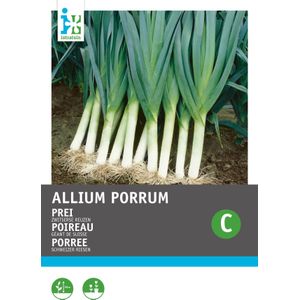 Intratuin groentezaad Prei (Allium porrum 'Zwitserse Reuzen')
