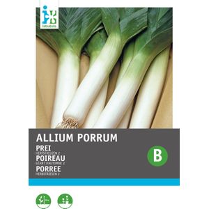 Intratuin groentezaad Prei (Allium porrum 'Herfstreuzen')