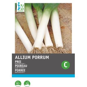 Intratuin groentezaad Prei (Allium porrum 'Winterreuzen')