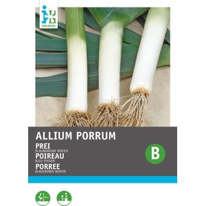 Intratuin groentezaad Prei (Allium porrum 'Blauwgroene Winter')