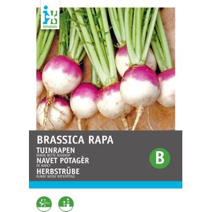 Intratuin groentezaad Tuinrapen (Brassica rapa 'Ronde Witte Roodkop')