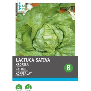 Intratuin groentezaad Kropsla (Lactuca sativa 'Gaardenier')
