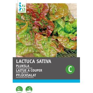 Intratuin groentezaad Pluksla (Lactuca sativa 'Amerikaanse Roodrand')
