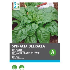 Intratuin groentezaad Spinazie rond zaad (Spinacia oleracea 'Winterreuzen')