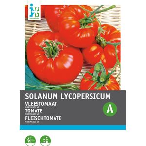 Intratuin groentezaad Vleestomaat (Solanum lycopersicum 'Marmande')