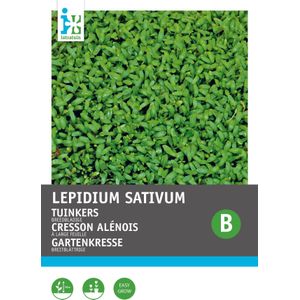 Intratuin kiemgroentezaad Tuinkers groot- of breedbladige (Lepidium sativum)