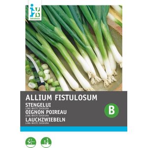 Intratuin groentezaad Stengel ui (Allium fistulosum 'Ishikura')