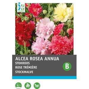 Intratuin bloemenzaad Stokroos gemengd (Althaea rosea 'Summer Carnival')