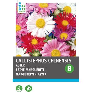 Intratuin bloemenzaad Zomeraster enkelbloemig gemengd (Callistephus chinensis)