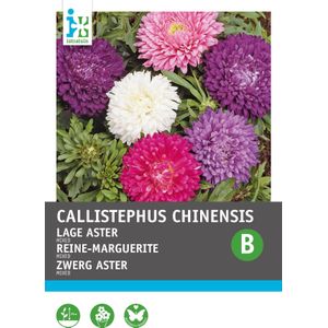 Intratuin bloemenzaad Zomeraster (Callistephus chinensis)