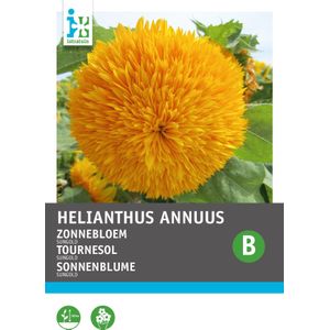 Intratuin bloemenzaad Zonnebloem dubbel (Helianthus annuus 'Sungold')