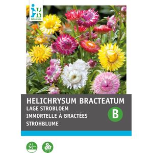 Intratuin bloemenzaad Goudstrobloem gemengd (Helichrysum bracteatum 'Tom Thumb')