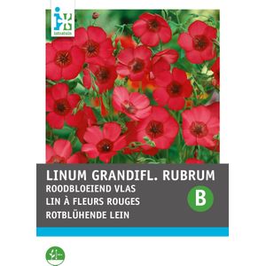 Intratuin bloemenzaad Vlas rood (Linum grandiflorum)