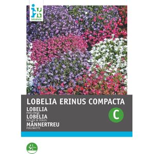 Intratuin bloemenzaad Lobelia gemengd (Lobelia erinus 'Parelsnoer')