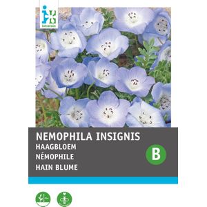 Intratuin bloemenzaad Bosliefje hemelsblauw (Nemophila insignis)