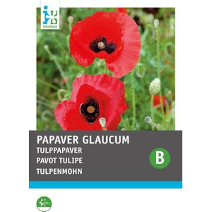 Intratuin bloemenzaad Papaver rood met vlek (Papaver glaucum)