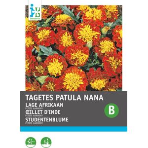 Intratuin bloemenzaad Afrikaantje (Tagetes 'Petite Harmony')
