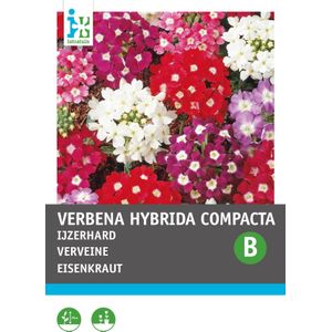 Intratuin bloemenzaad IJzerhard gemengd (Verbena hybrida compacta)