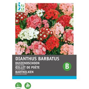 Intratuin bloemenzaad Duizendschoon enkelbloemig (Dianthus barbatus)