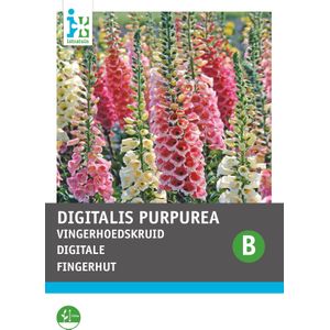 Intratuin bloemenzaad Vingerhoedskruid (Digitalis pupurea 'Gloxiniiflora')