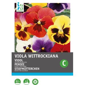 Intratuin bloemenzaad Viooltje gemengd (Viola wittrockiana 'Aalsmeerse reuzen')