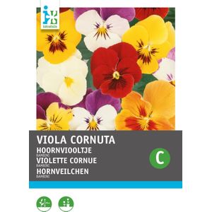 Intratuin bloemenzaad Hoornviool gemengd (Viola cornuta 'Bambini')