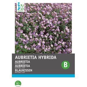 Intratuin bloemenzaad Aubrietia paars (Aubrietia hybrida 'Whitewell')