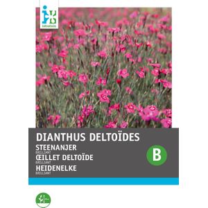 Intratuin bloemenzaad Anjer (Dianthus deltoides 'Briljant')
