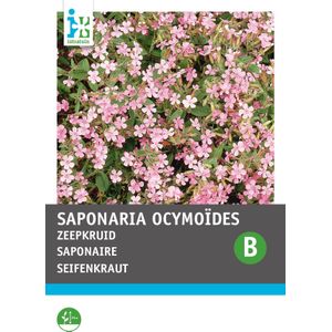 Intratuin bloemenzaad Zeepkruid roze (Saponaria ocymoides)