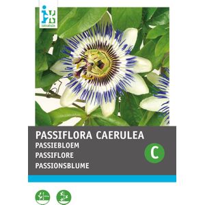 Intratuin bloemenzaad Passiebloem blauw (Passiflora caerulea)