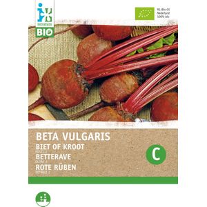 Biologische Intratuin groentezaad Bieten kogel (Beta vulgaris 'Detroit 2')