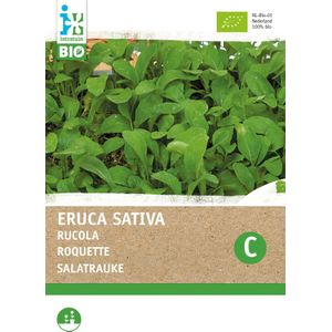 Biologische Intratuin groentezaad Rucola gewone (Eruca sativa)