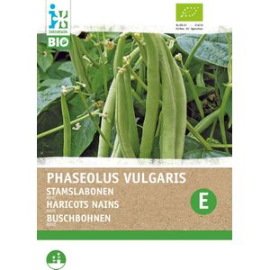 Biologische Intratuin groentezaad Stamslaboon (Phaseolus vulgaris 'Maxi')