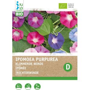 Biologische Intratuin bloemenzaad Dagbloem gemengd (Ipomoea purpurea )