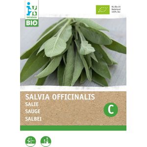 Biologische Intratuin kruidenzaad Salie (Salvia officinalis)
