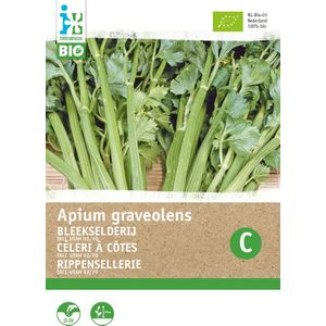 Biologische Intratuin groentezaad Bleekselderij (Apium graveolens 'Tall Utah 52/70')