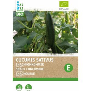 Biologische Intratuin groentezaad Snackkomkommer (Cucumis sativus 'Picolino')