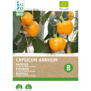 Biologische Intratuin groentezaad Paprika (Capsicum annuum 'Yellow California Wonder')