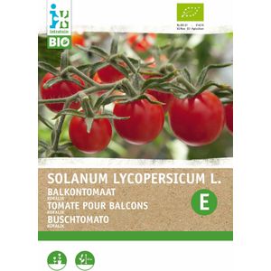 Biologische Intratuin groentezaad Tomaat (Solanum lycopersicum 'Koralik')